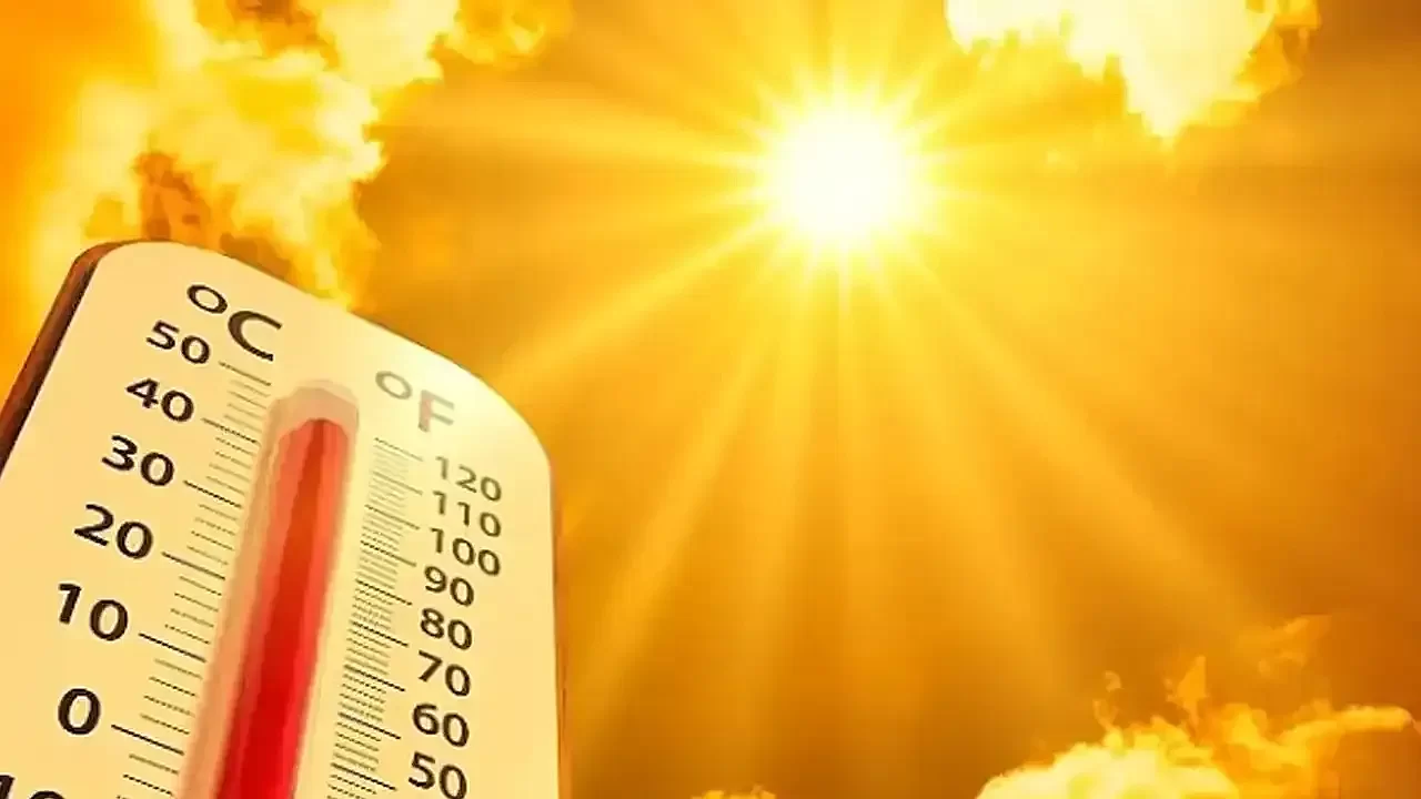 İngiltere'de sıcaktan ölenlerin acı bilançosu